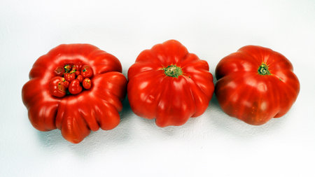 Tomatoes isolated on white. Fresh ripe red juicy tomato close-up. Three appetizing tomatoes view from above. Fresh vegetables.の写真素材