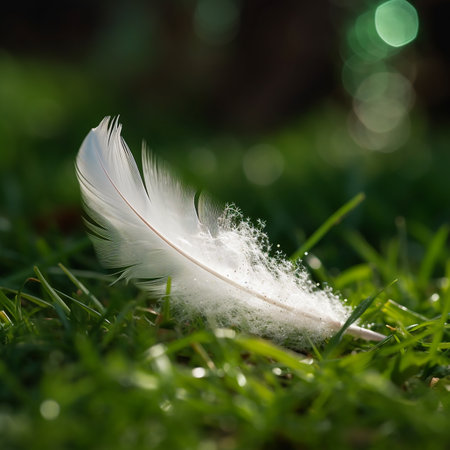 Fluffy white feather of a bird in the air against a background of green grass, macro photo, unusual backgroundの素材