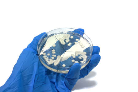 microbiology