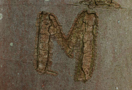 letter の写真素材