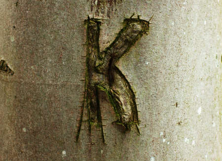 letter の写真素材