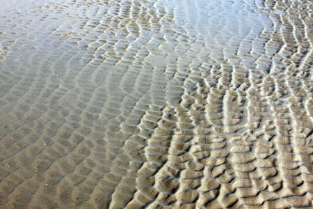 sea bottom after the low tide