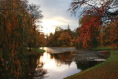 yellow autumn park in the morningの写真素材