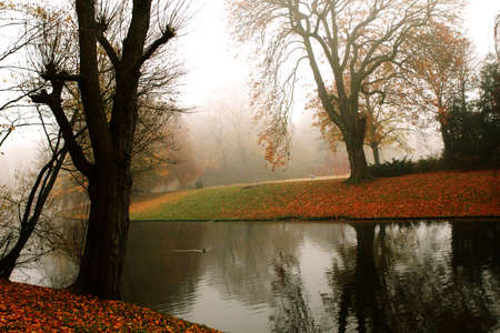 morning fog in the park with small lakeの写真素材