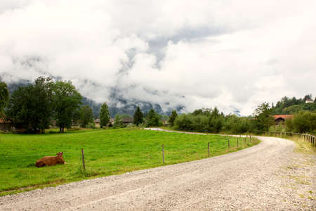 the countryside road to the mountains covered with fogの写真素材