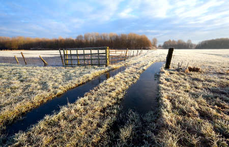 rural destroyed road through the field and skyの写真素材