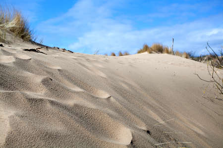 abstract background with textured sand and blue skyの写真素材