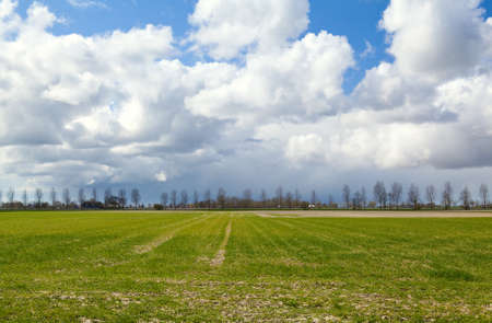 field at early spring with agriculture and blue sky with white cloudsの写真素材