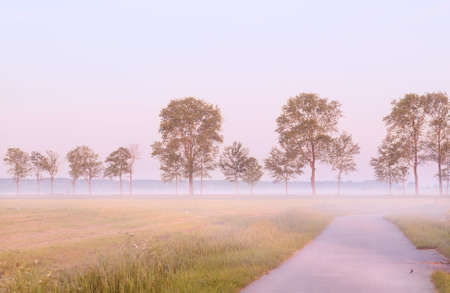 early morning with fog in Netherlandsの写真素材