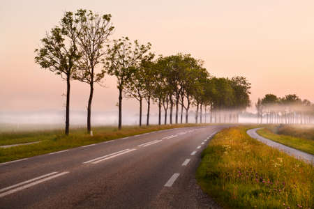 road in Groningen in the early morning covered with fogの写真素材