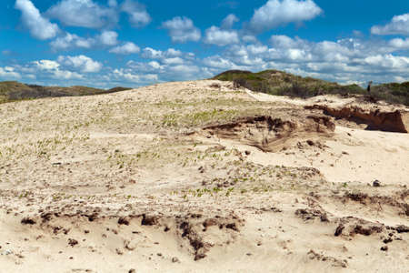sand dunes in Zandvoort aan Zee under beautiful sky