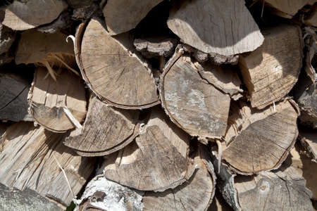 pattern of many firewoods outdoors