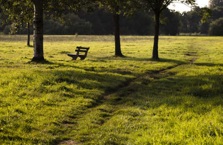 narrow path in the park by old benchの写真素材