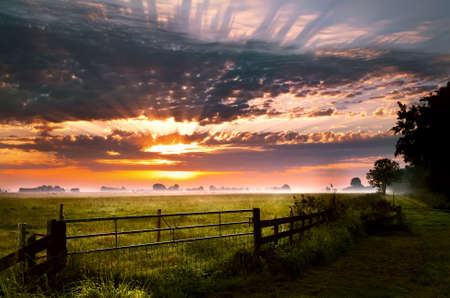 colorful sunrise over rural pasture in Groningenの写真素材