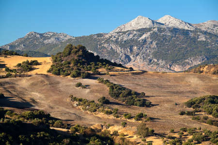 mountains and fields in Andalucia, region Montecorto, Spainの写真素材