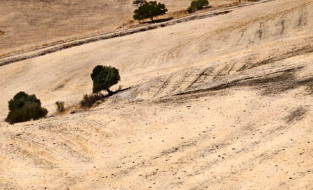typical abstract landscape in Andalucia, Spainの写真素材