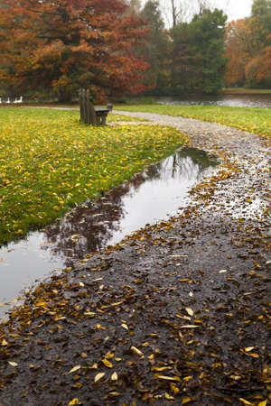 puddle on the path in deep autumnの写真素材