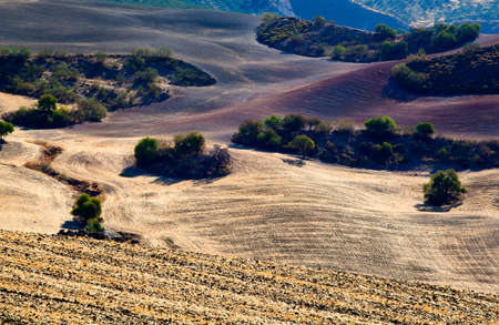 beautiful landscape in Andalucia, close to Montecortoの写真素材