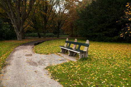 cozy wooden  bench in autumn park, Stadspark, Groningen