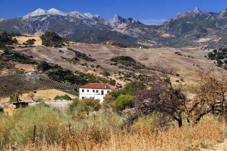Spanish rural landscape in Andalucia with mountainsの写真素材