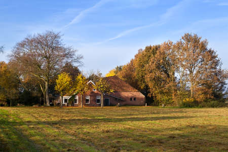 typical Dutch farmhouse in golden autumn seasonのeditorial素材