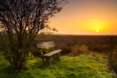 rest place with wooden bench at calm sunriseの写真素材