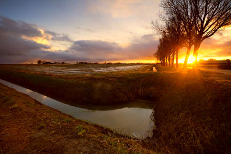 sunrise in dutch farmland by canal and fieldsの写真素材