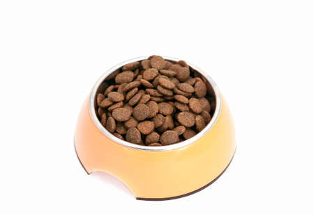 dry dog food in yellow bowl on white backgroundの写真素材