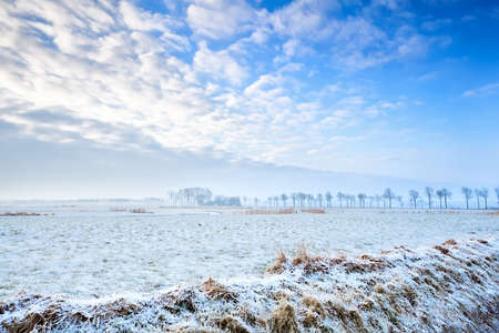 calm winter rural  landscape in Netherlandsの写真素材