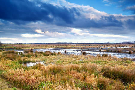 beautiful cloudscape over swamp in morning, Drenthe