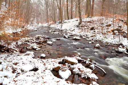 mountain river in winterforest,  Harz, Germanyの写真素材