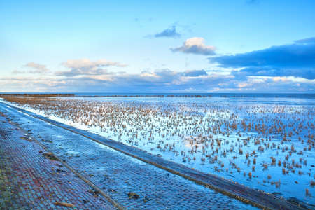 mud during low tide on north sea