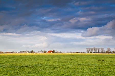 charming house on farmland and stormy sky, Netherlandsの写真素材