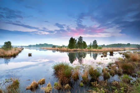 calm misty sunset over swamp in Drenthe, Netherlandsの写真素材