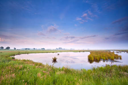 wild lake at pink summer sunriseの写真素材