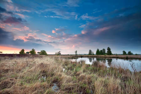sunset sky over swamp, Fochteloerveen, Netherlands