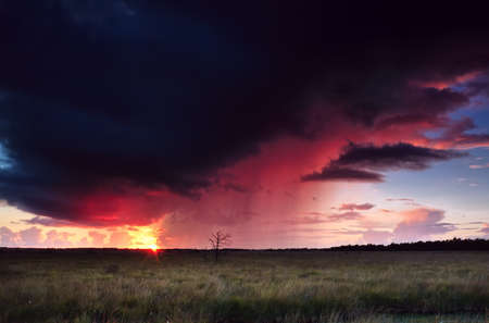 dramatic thunderstorm at sunset over swampの写真素材