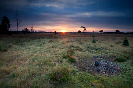 sunrise over dunes and meadows, Drents-Friese Wold, Netherlandsの写真素材