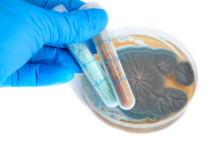 tubes with medical drugs and Penicillium fungi over white background