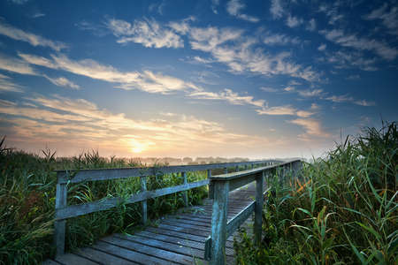 wooden bridge through river for bikes at sunrise, Hollandの写真素材