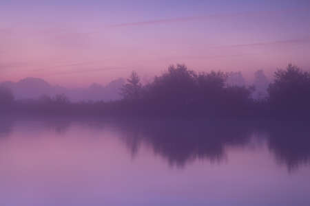 trees by lake in dense fog at summer sunset, Drenthe, Netherlands