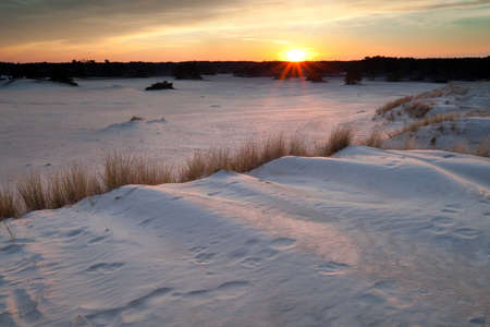 gold sunset over sand dunes, Gelderland, Netherlandsの写真素材