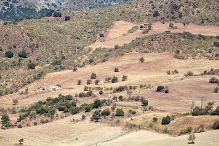 fields and hills in Andalucia, Spain