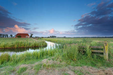 sunset over Dutch farmland in summer, Netherlandsの写真素材