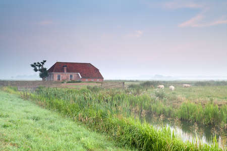 cozy farmhouse in misty morning, Netherlandsのeditorial素材