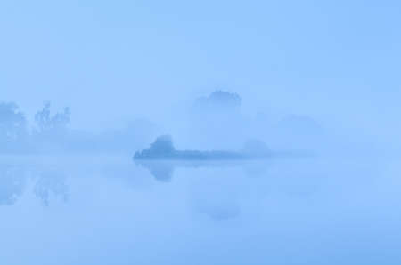 bush by lake in dense fog before sunriseの写真素材
