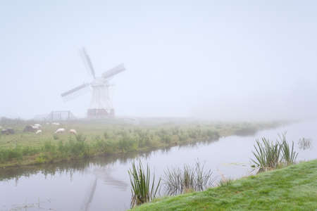 windmill and sheep by river in dense fog, Netherlandsの写真素材