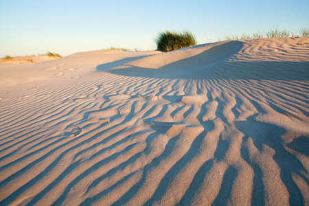 waves on sand dune at sunset in Schiermonnikoog, Netherlands