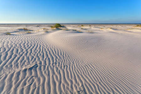 wind texture on sand dune, Schiermonnikoog coastの写真素材