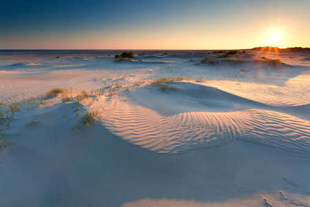 sunrise over sand dunes on North sea beach, Holland